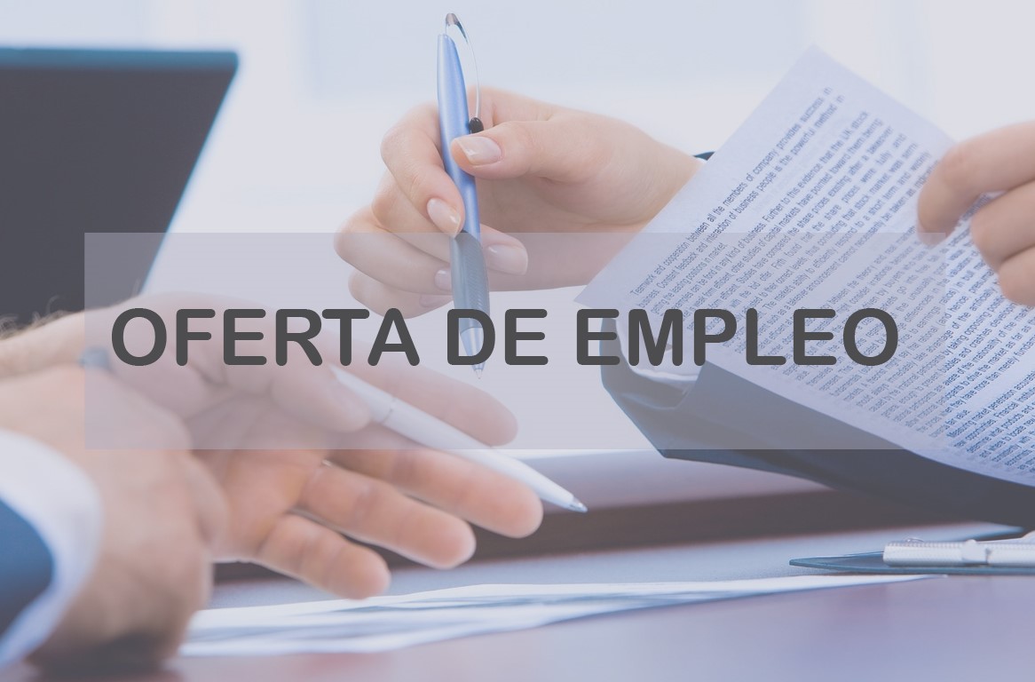 Oferta de Empleo: Consultor/a para el Área de Tutoría y Consultoría de BIC Euronova